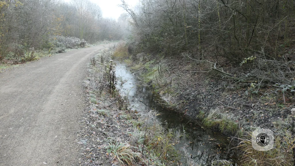 Falkestr. – Halde-Schöttelheide