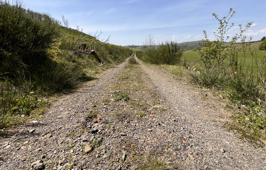 Familientag – Spontane Wanderung!