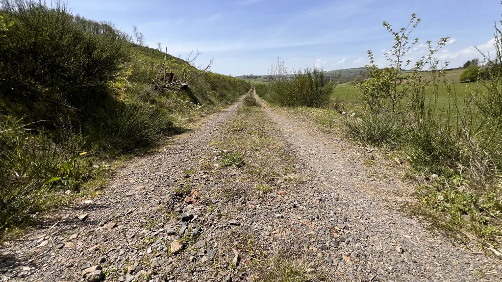 Familientag – Spontane Wanderung!